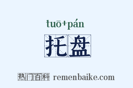 托盘是什么意思的图片